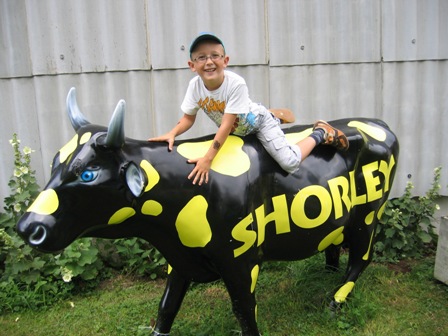 Mais-Labyrinth Juli 2009